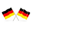 Load image into Gallery viewer, Sovello SV-T-195 FC1 Solar Module (Made in Germany)